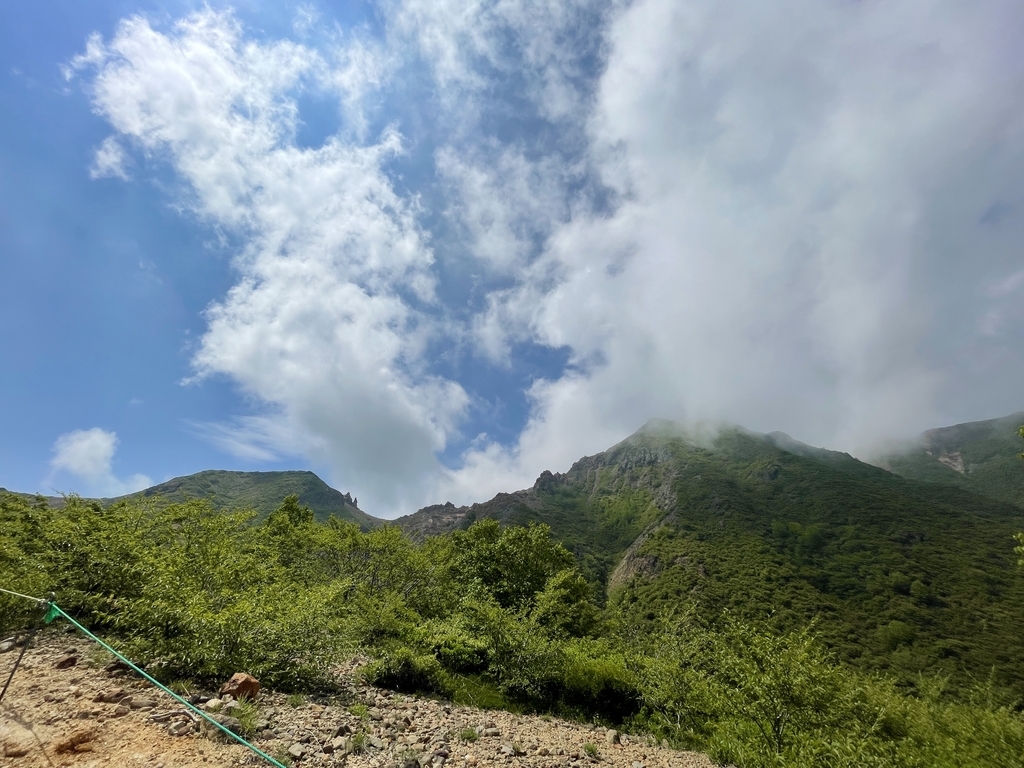 f:id:one00one:20210614172944j:plain