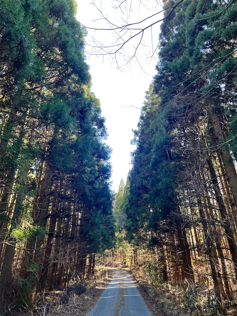 f:id:one00one:20220405123628j:plain