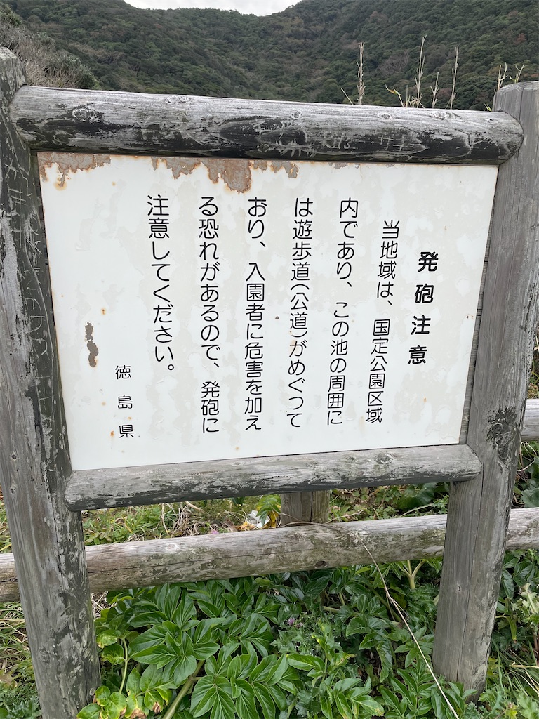 f:id:one25308:20201228214410j:image