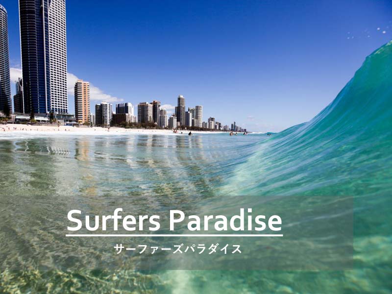 f:id:one_president:20200924161138j:plain f:id:one_president:20200924161138j:plain