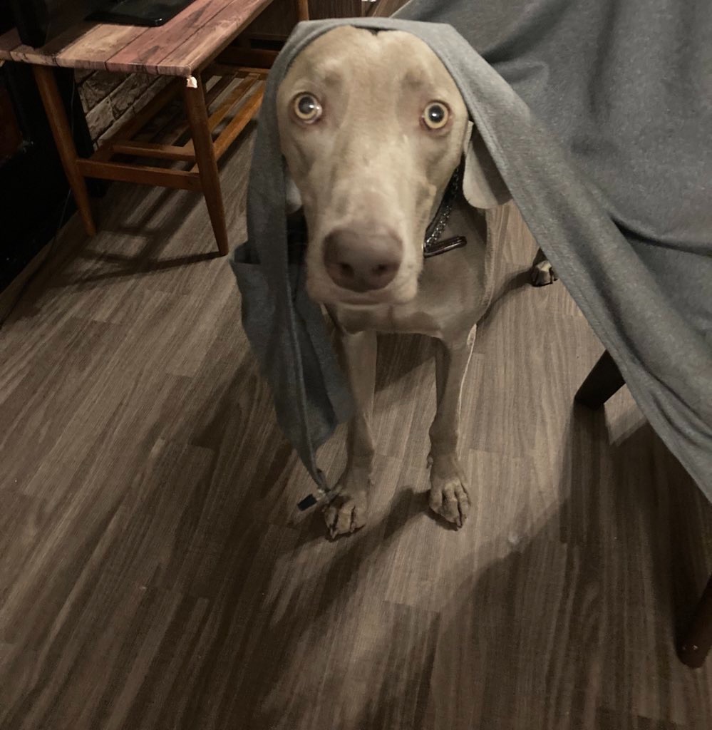 f:id:one_threa:20210621174347j:image f:id:one_threa:20210621174347j:image