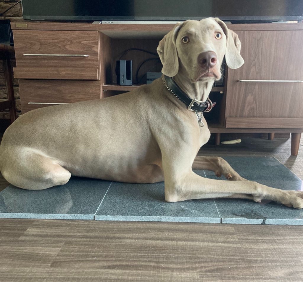 f:id:one_threa:20210811102221j:image f:id:one_threa:20210811102221j:image