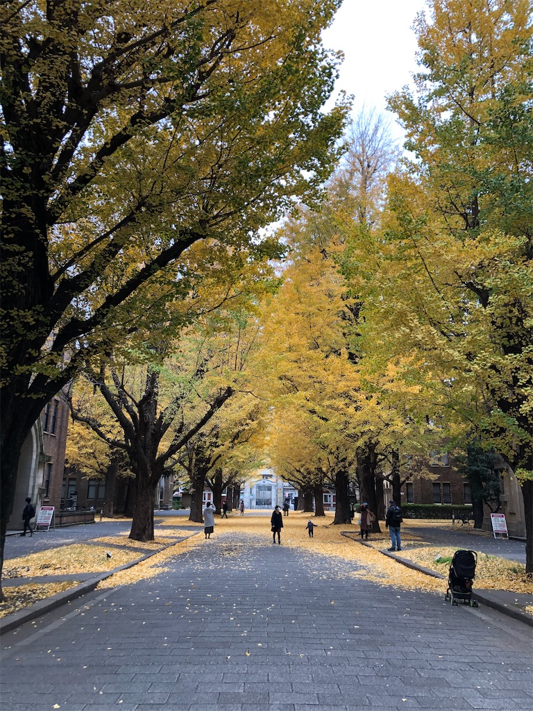 f:id:onearth618:20201124220148j:image