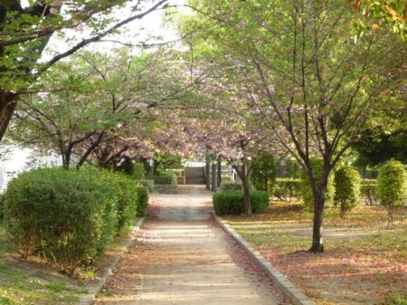 f:id:onechan:20090419103731j:image f:id:onechan:20090419103731j:image
