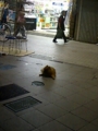 [犬]