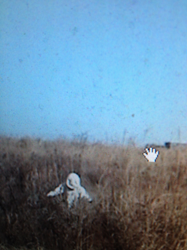 f:id:onecoil:20131130023911j:image:w320