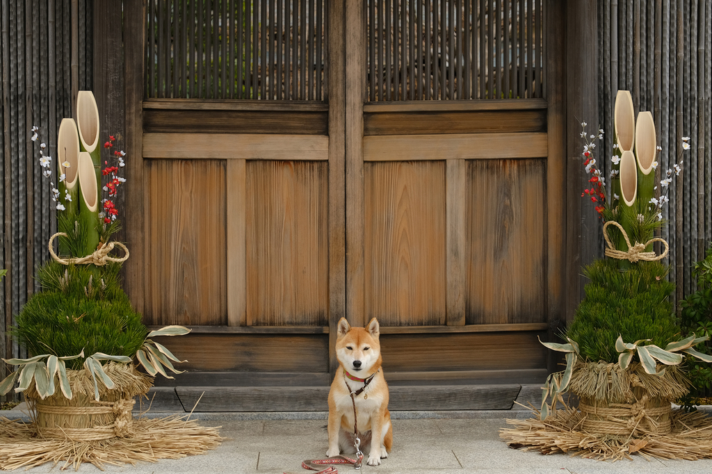 f:id:oneday71:20190101134535j:plain f:id:oneday71:20190101134535j:plain