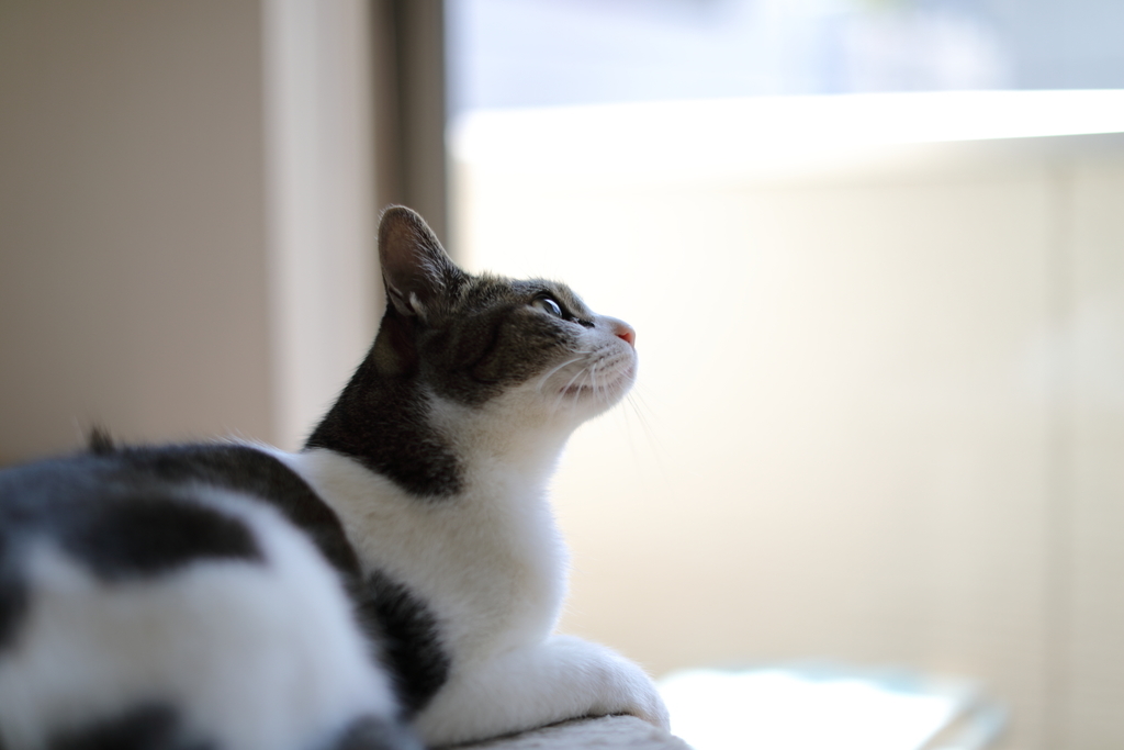 f:id:oneday71:20190111134612j:plain f:id:oneday71:20190111134612j:plain