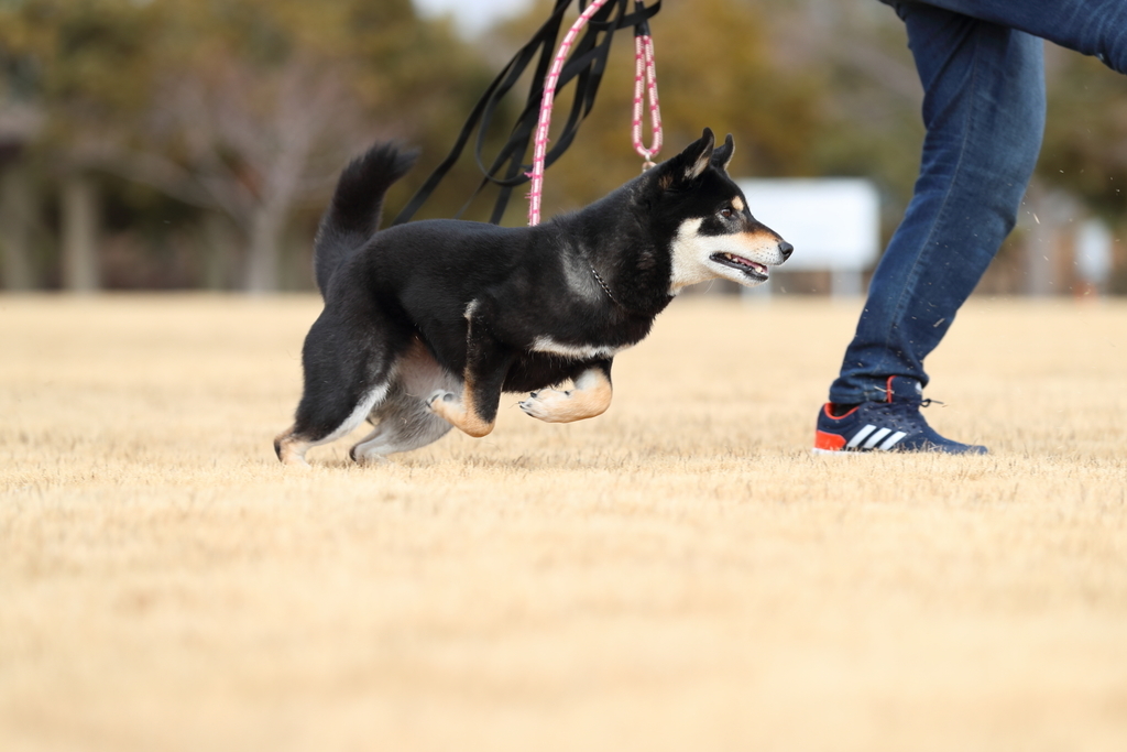 f:id:oneday71:20190211151943j:plain f:id:oneday71:20190211151943j:plain