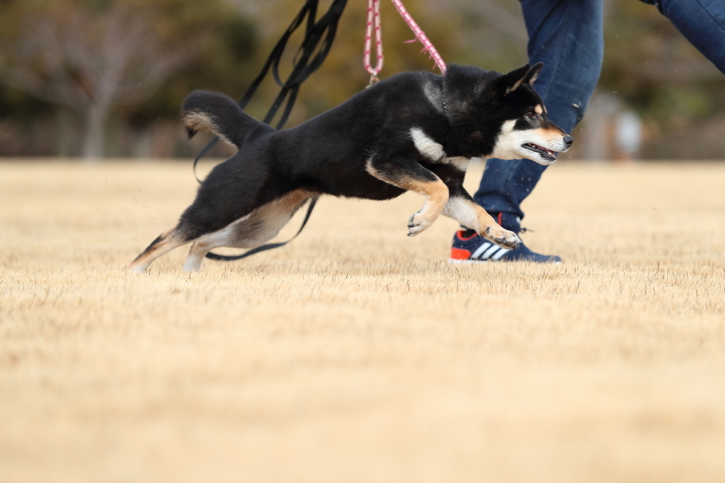 f:id:oneday71:20190211152308j:plain f:id:oneday71:20190211152308j:plain