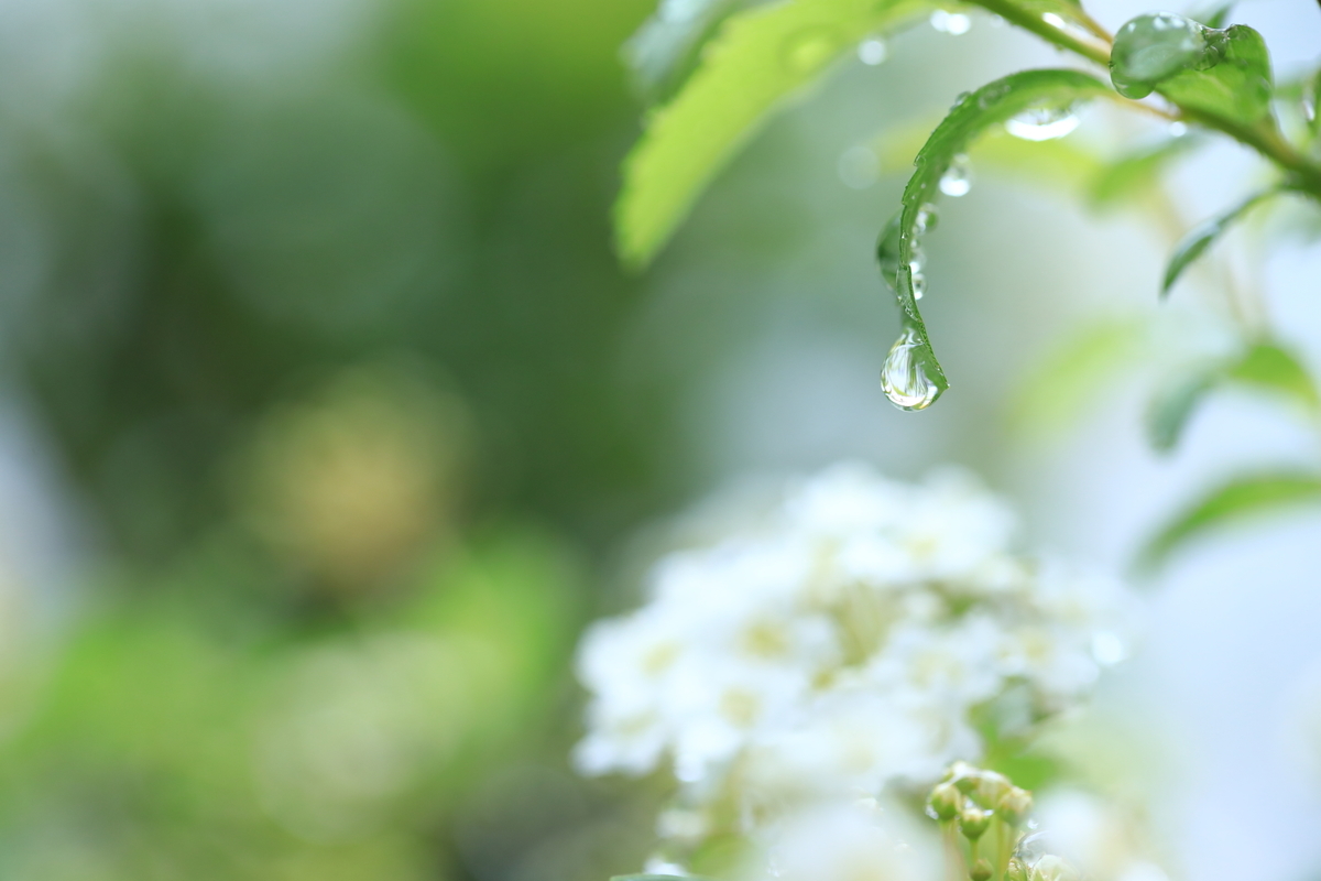 f:id:oneday71:20190410140403j:plain