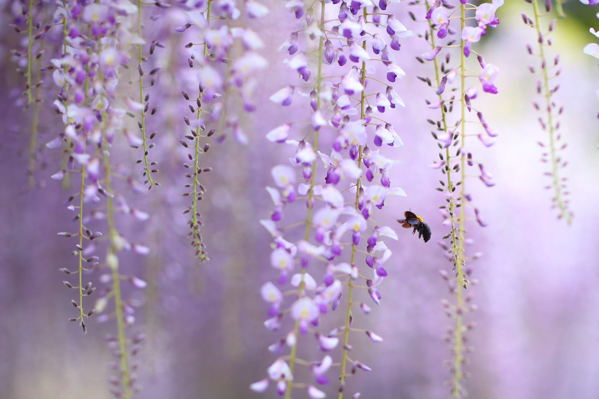 f:id:oneday71:20190514135320j:plain