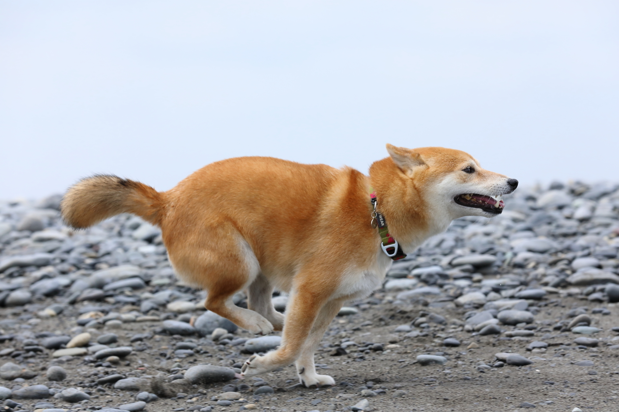 f:id:oneday71:20190515134045j:plain