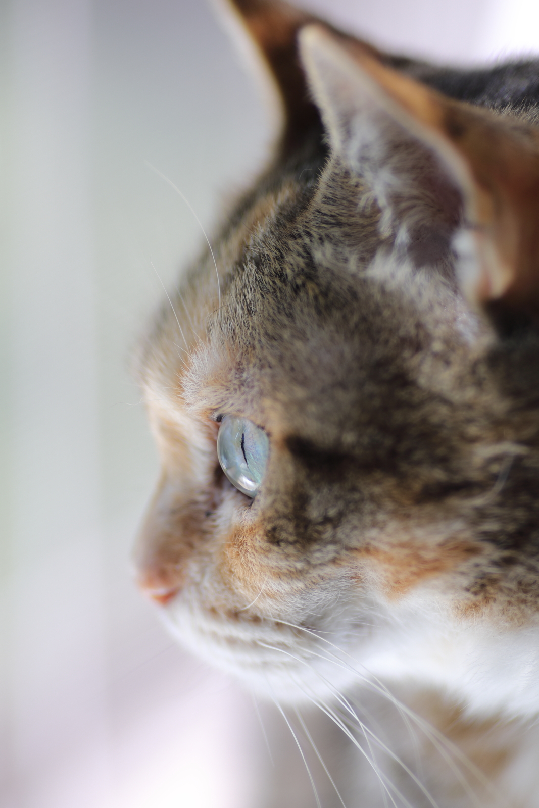 f:id:oneday71:20190530220316j:plain f:id:oneday71:20190530220316j:plain