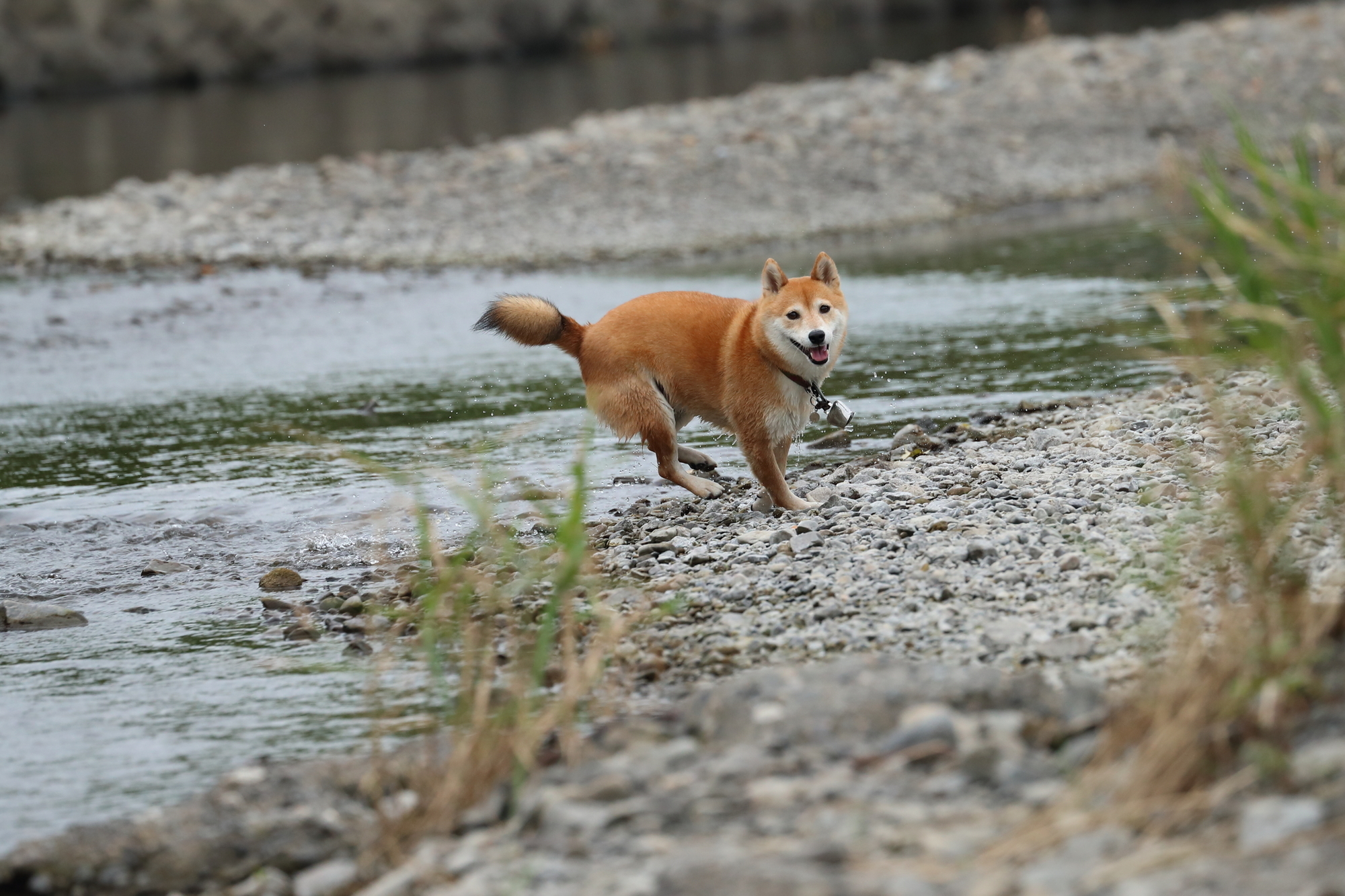 f:id:oneday71:20190608165404j:plain