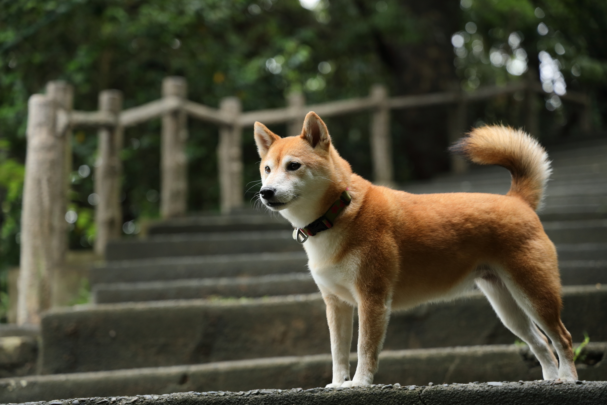 f:id:oneday71:20190706135113j:plain