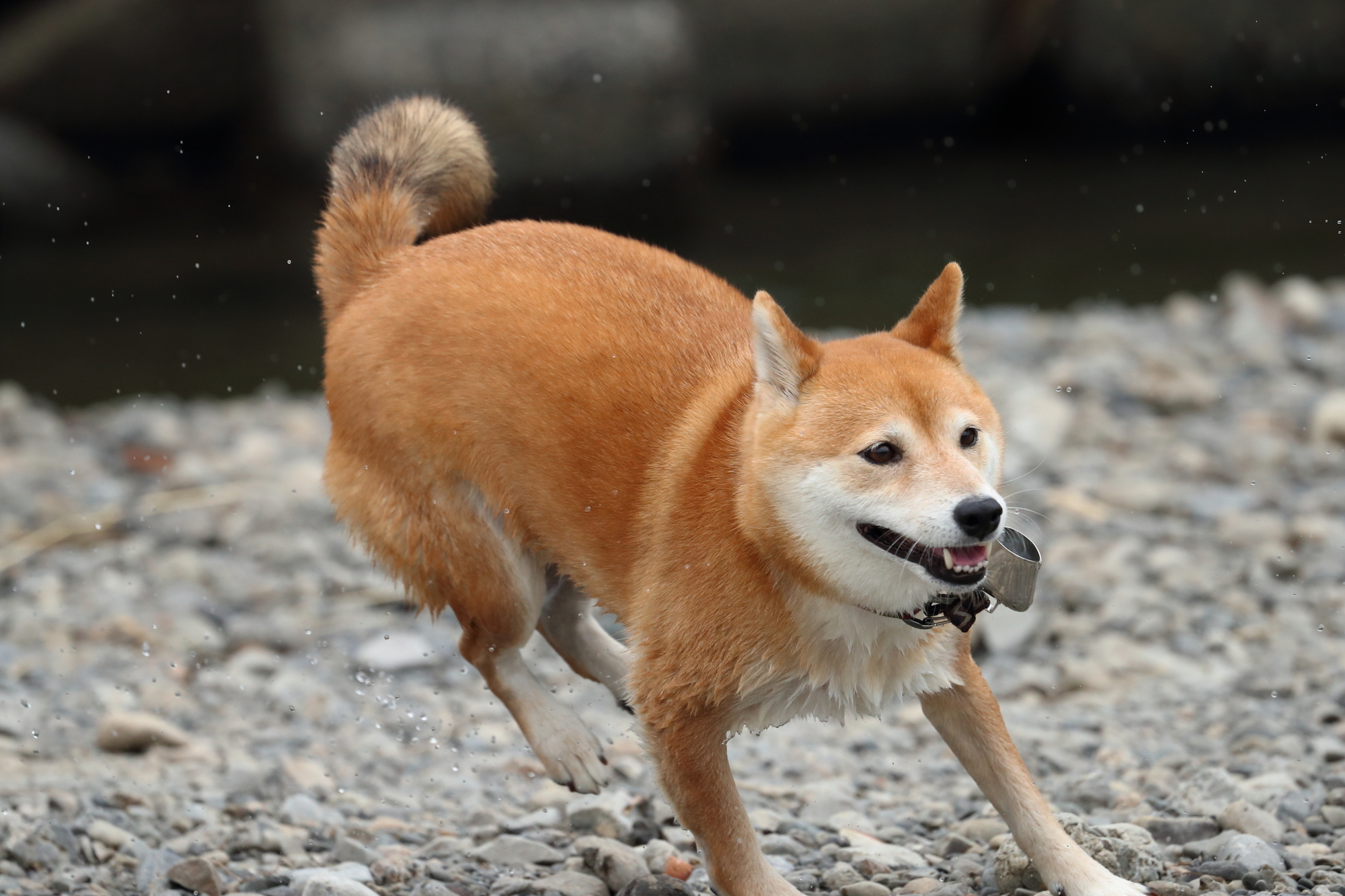 f:id:oneday71:20190726135550j:plain