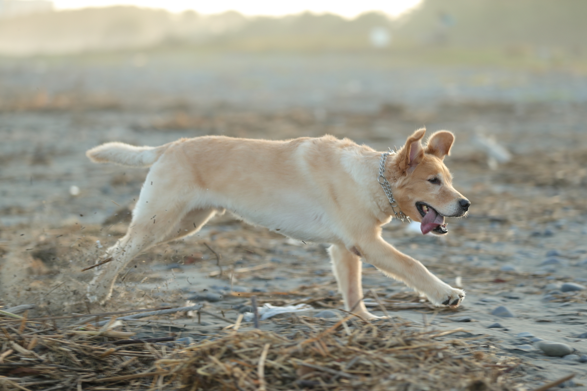f:id:oneday71:20190815141147j:plain f:id:oneday71:20190815141147j:plain