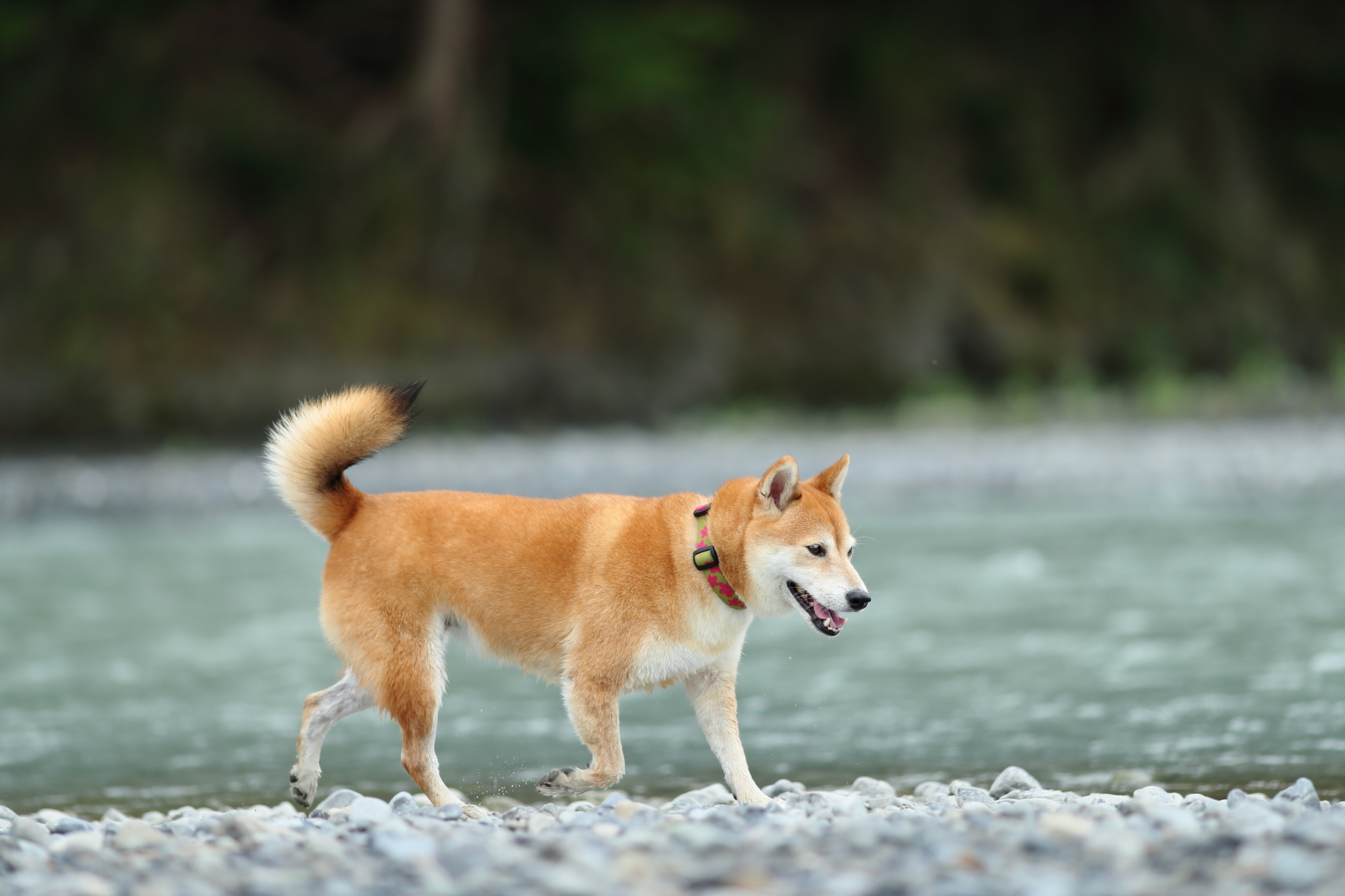 f:id:oneday71:20190817170452j:plain f:id:oneday71:20190817170452j:plain