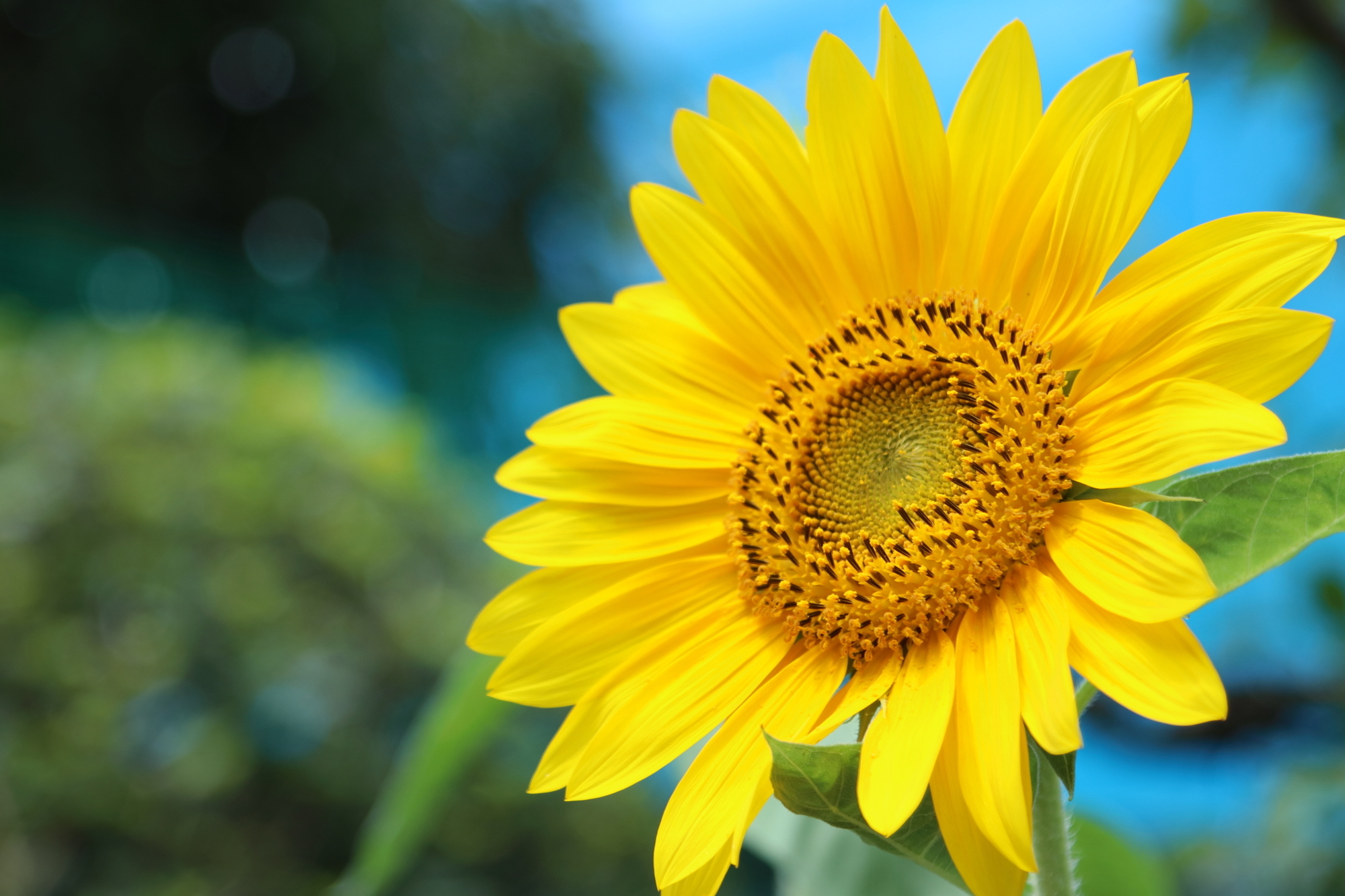 f:id:oneday71:20190823133105j:plain