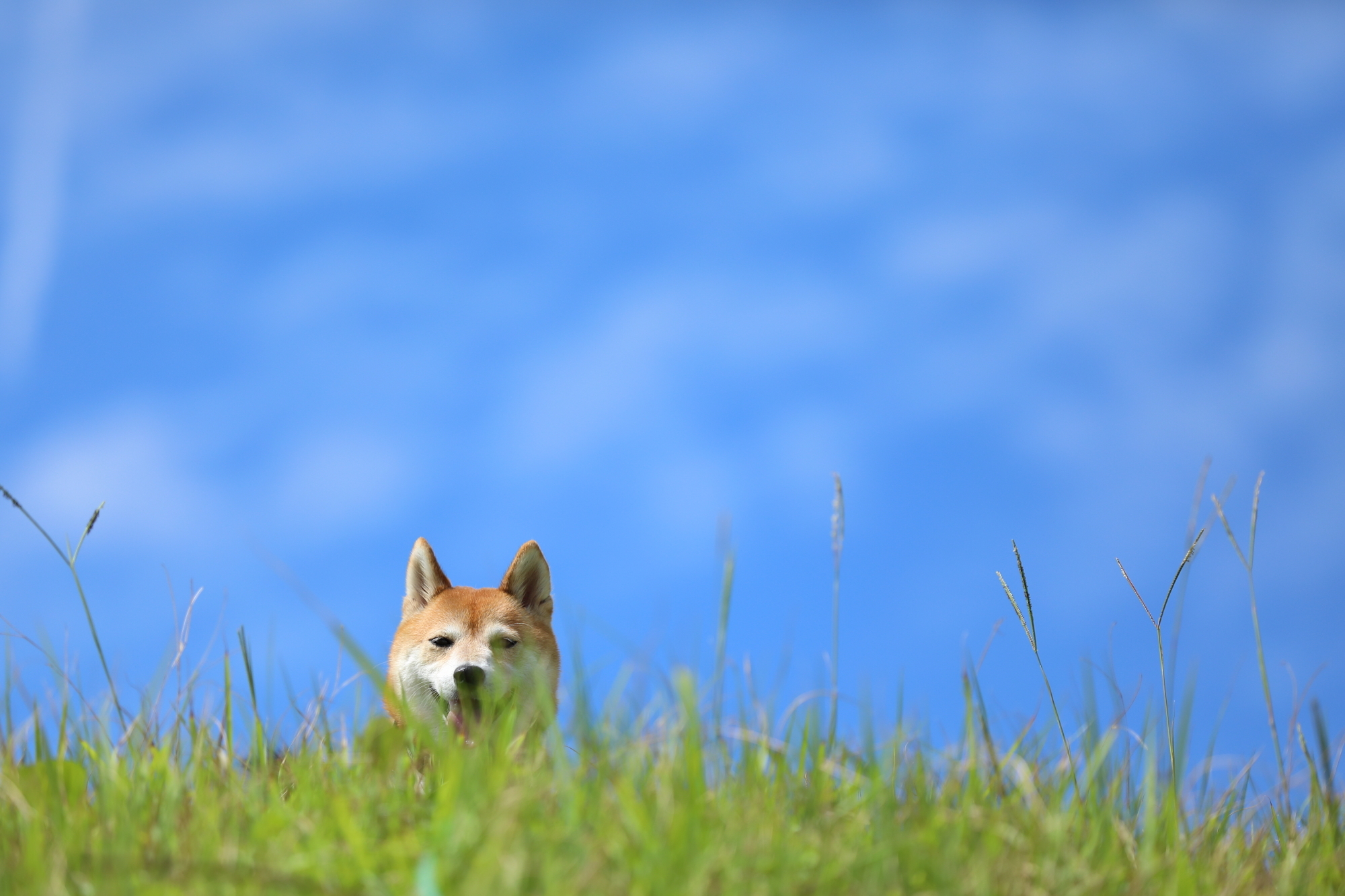 f:id:oneday71:20190901143737j:plain