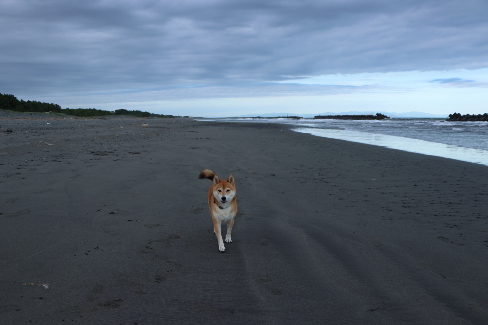 f:id:oneday71:20190922220426j:plain