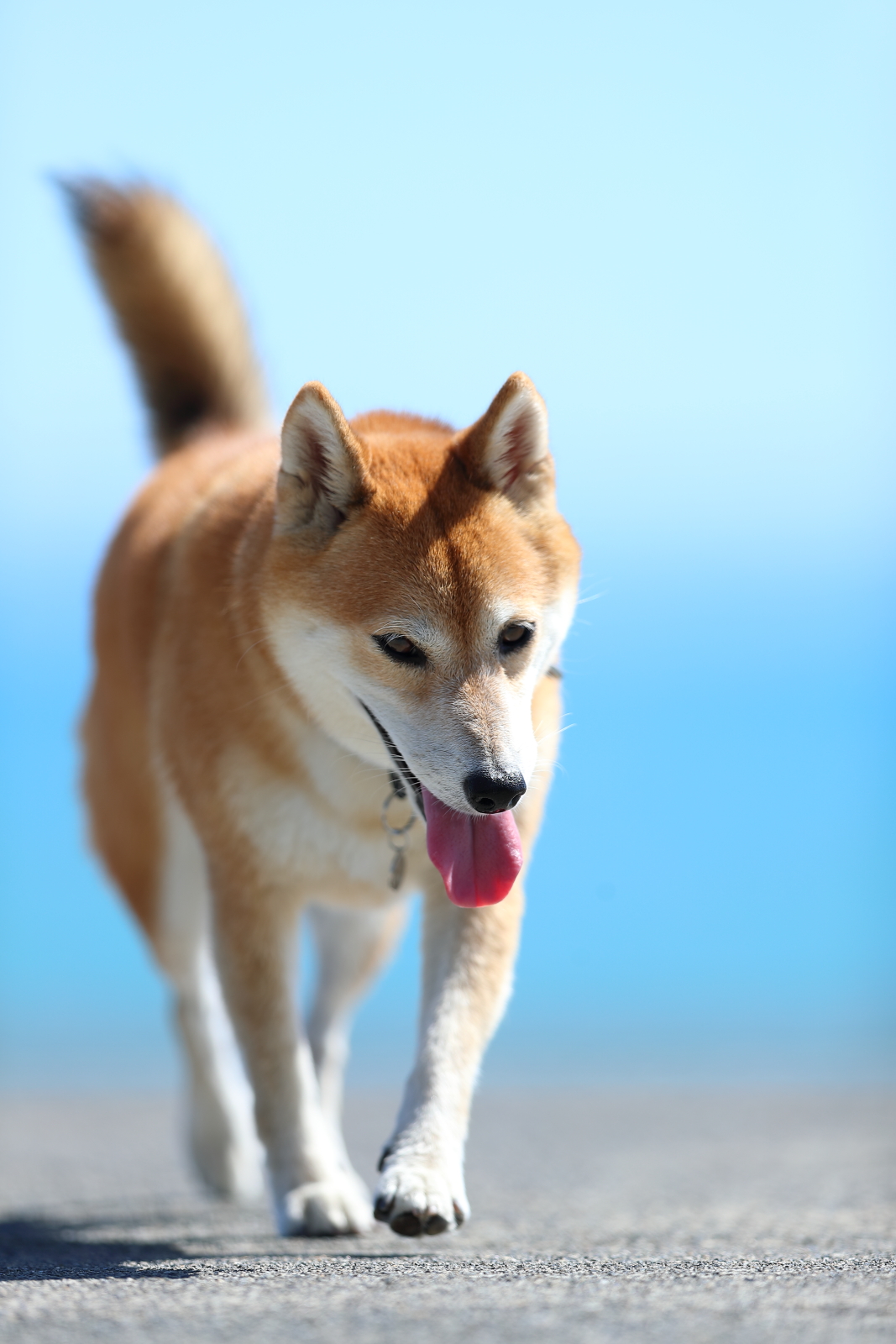 f:id:oneday71:20191010142626j:plain f:id:oneday71:20191010142626j:plain
