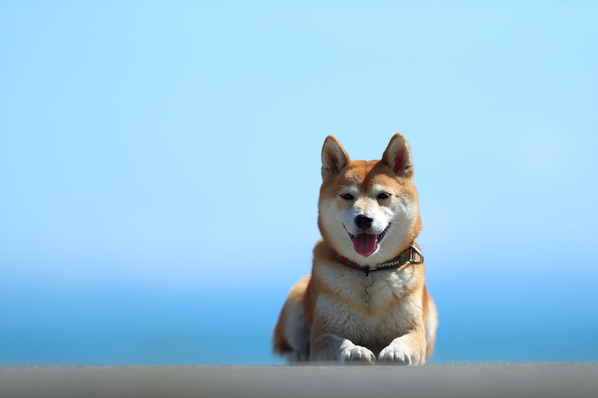 f:id:oneday71:20191010142632j:plain f:id:oneday71:20191010142632j:plain