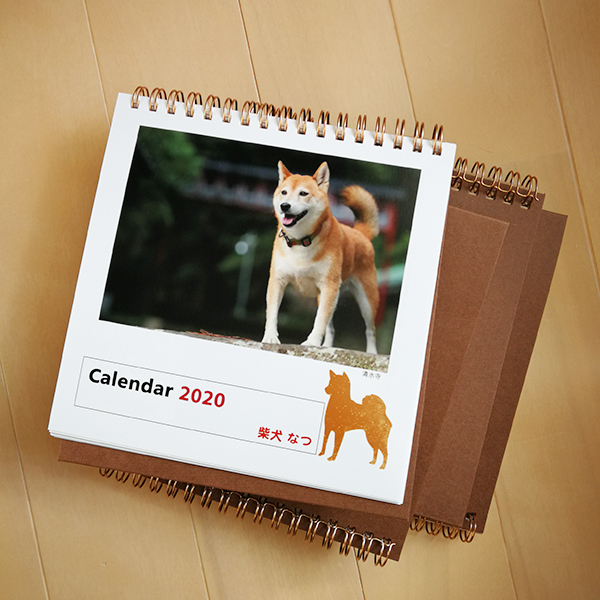 f:id:oneday71:20191115140238j:plain