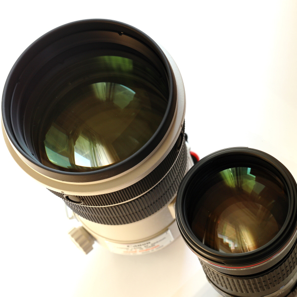 f:id:oneday71:20191120140258j:plain f:id:oneday71:20191120140258j:plain