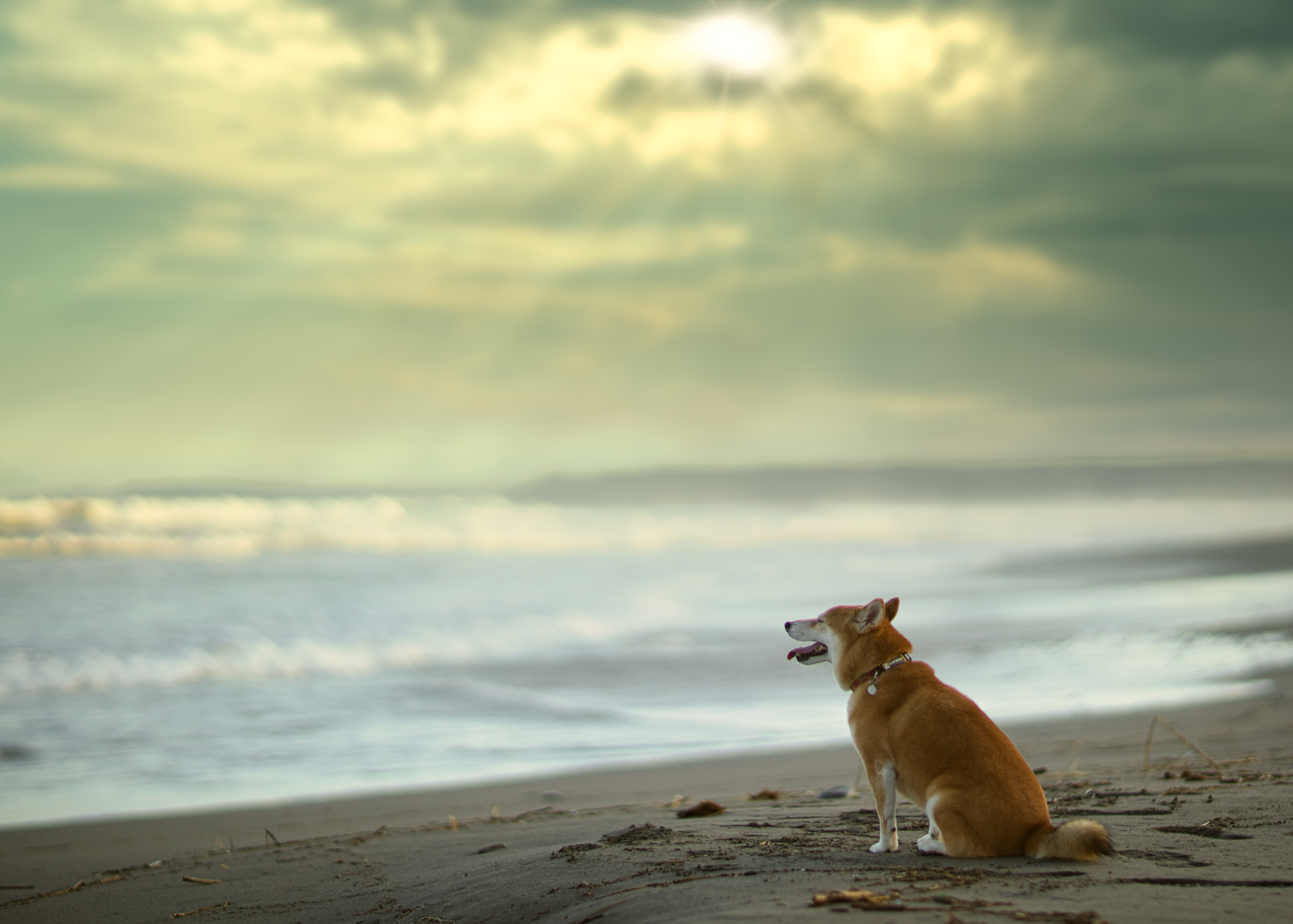 f:id:oneday71:20191213135151j:plain f:id:oneday71:20191213135151j:plain