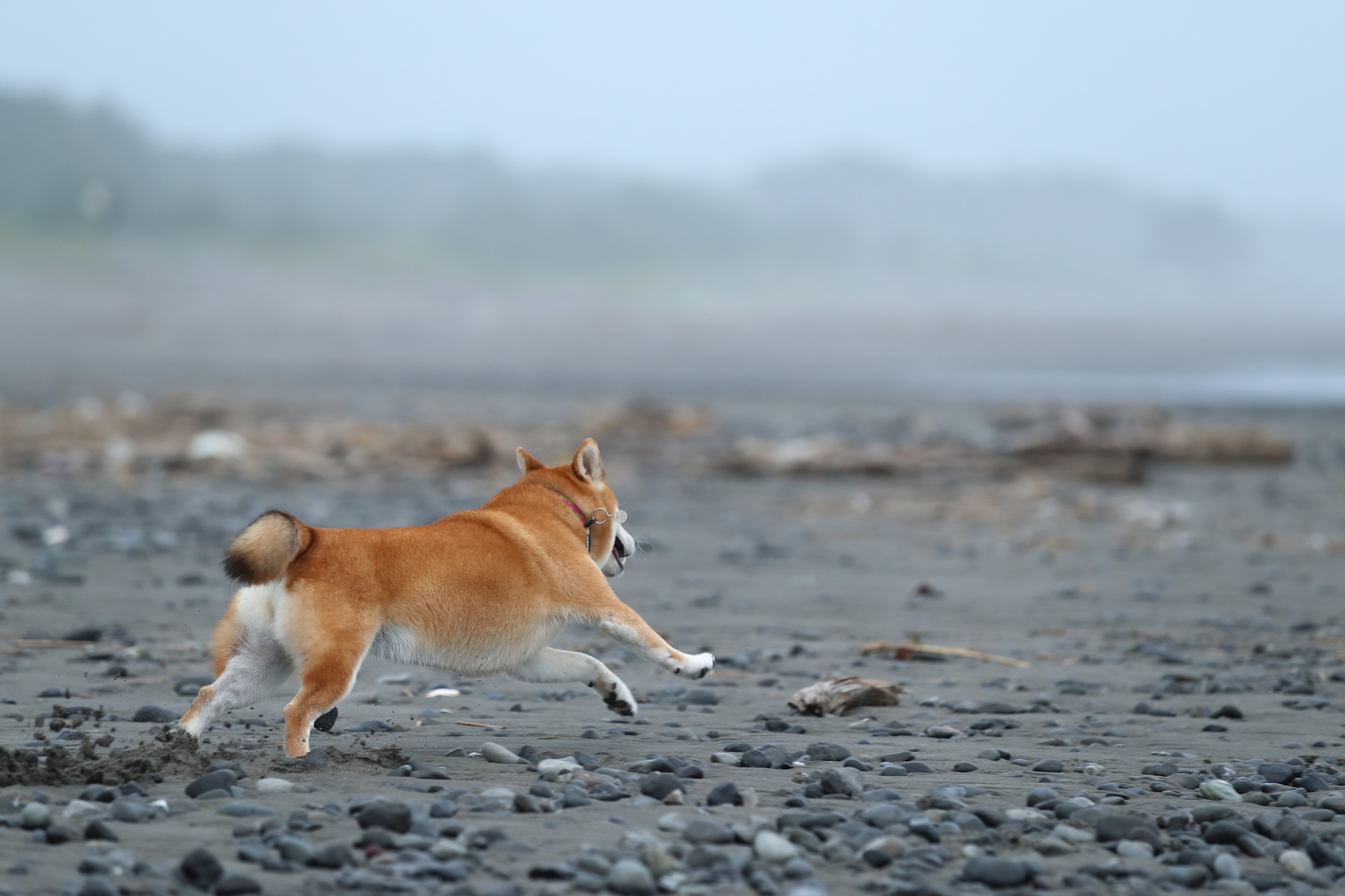 f:id:oneday71:20191230141333j:plain f:id:oneday71:20191230141333j:plain