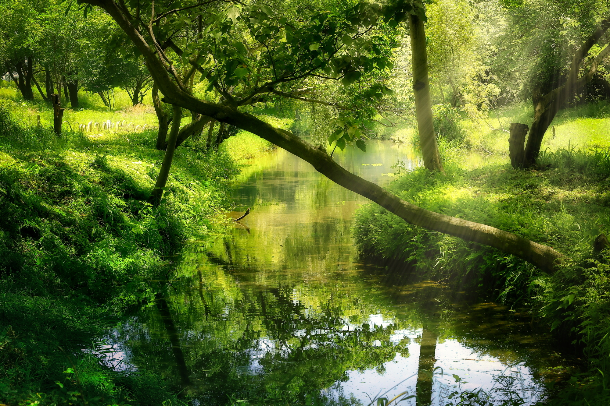 f:id:oneday71:20200522140034j:plain f:id:oneday71:20200522140034j:plain