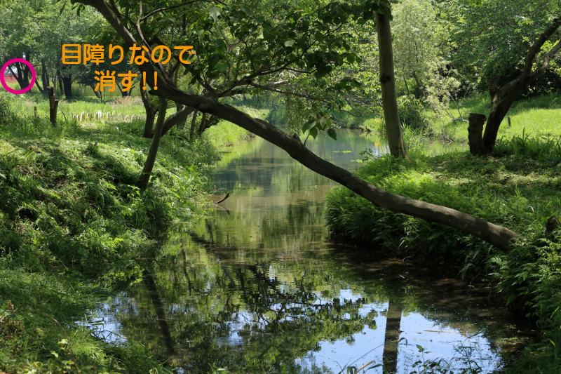 f:id:oneday71:20200614131529j:plain