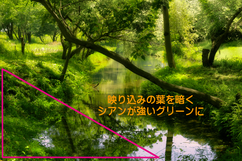 f:id:oneday71:20200614135912j:plain