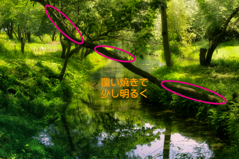 f:id:oneday71:20200614141118j:plain