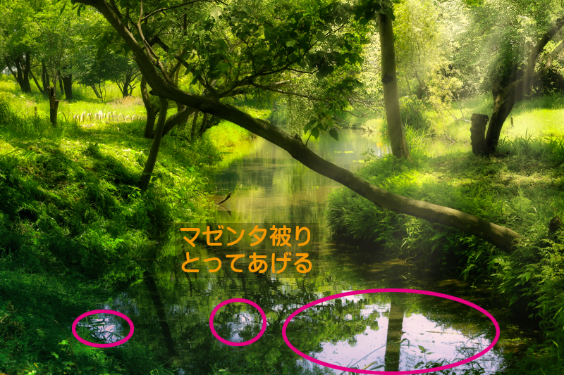 f:id:oneday71:20200614141825j:plain