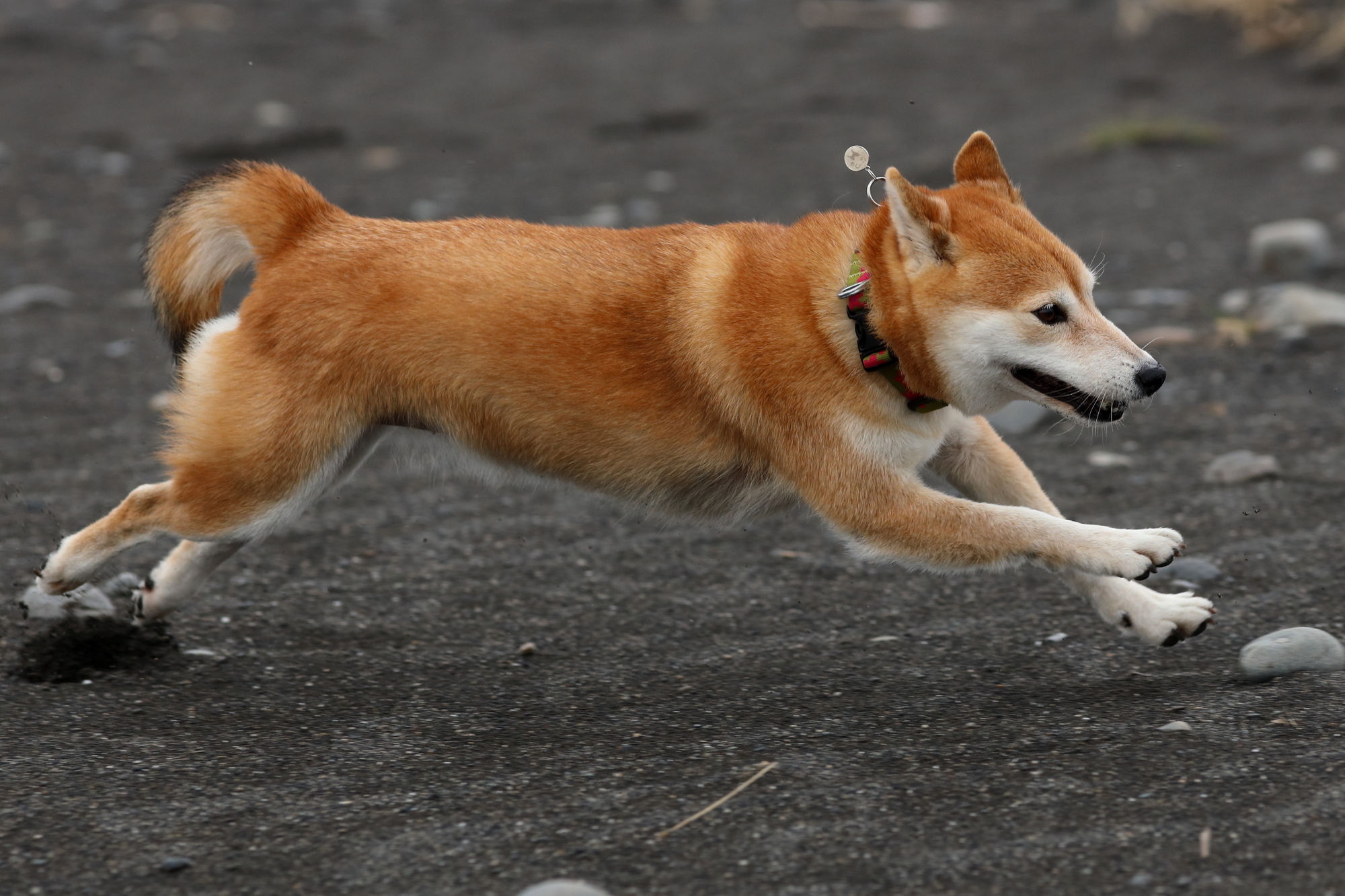 f:id:oneday71:20200710143708j:plain f:id:oneday71:20200710143708j:plain