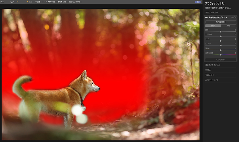 f:id:oneday71:20200711134703j:plain f:id:oneday71:20200711134703j:plain