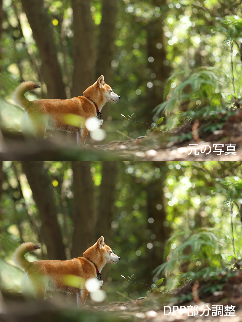 f:id:oneday71:20200711135632j:plain f:id:oneday71:20200711135632j:plain