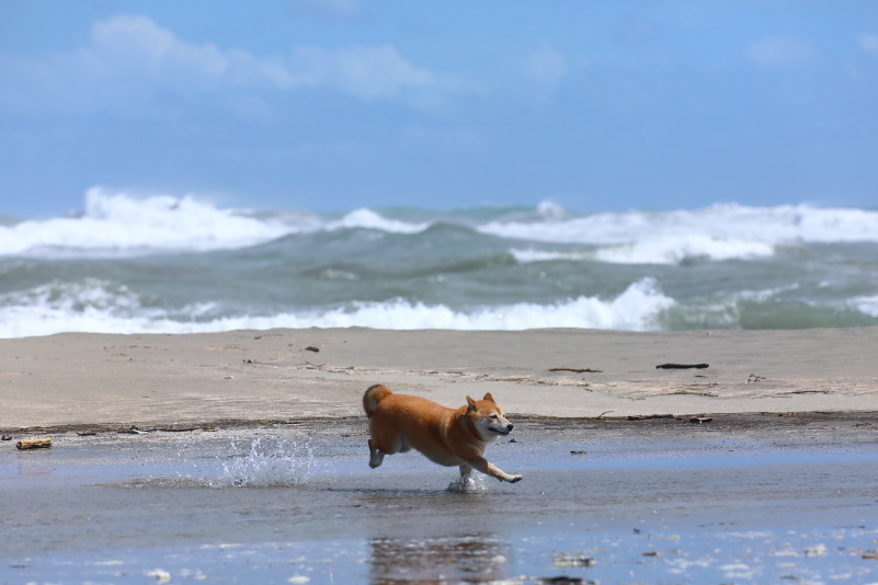 f:id:oneday71:20200924152721j:plain