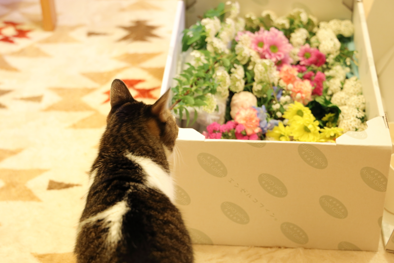 f:id:oneday71:20210409140043j:plain