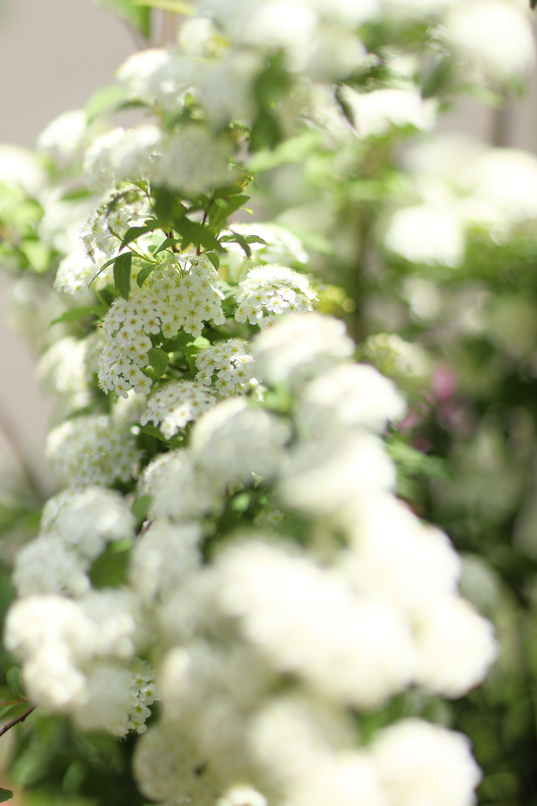 f:id:oneday71:20210410130238j:plain