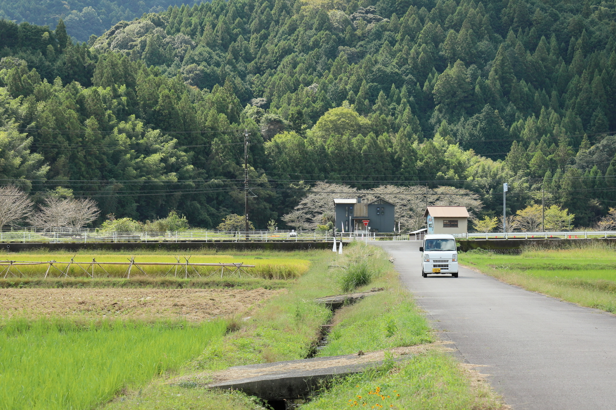f:id:oneday71:20211014145326j:plain