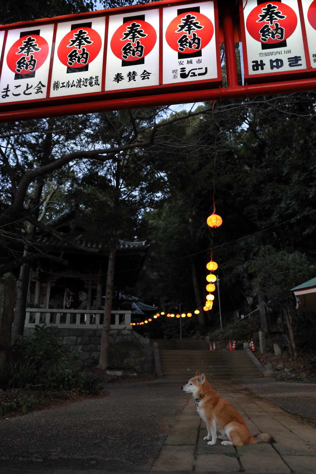 f:id:oneday71:20220110131020j:plain