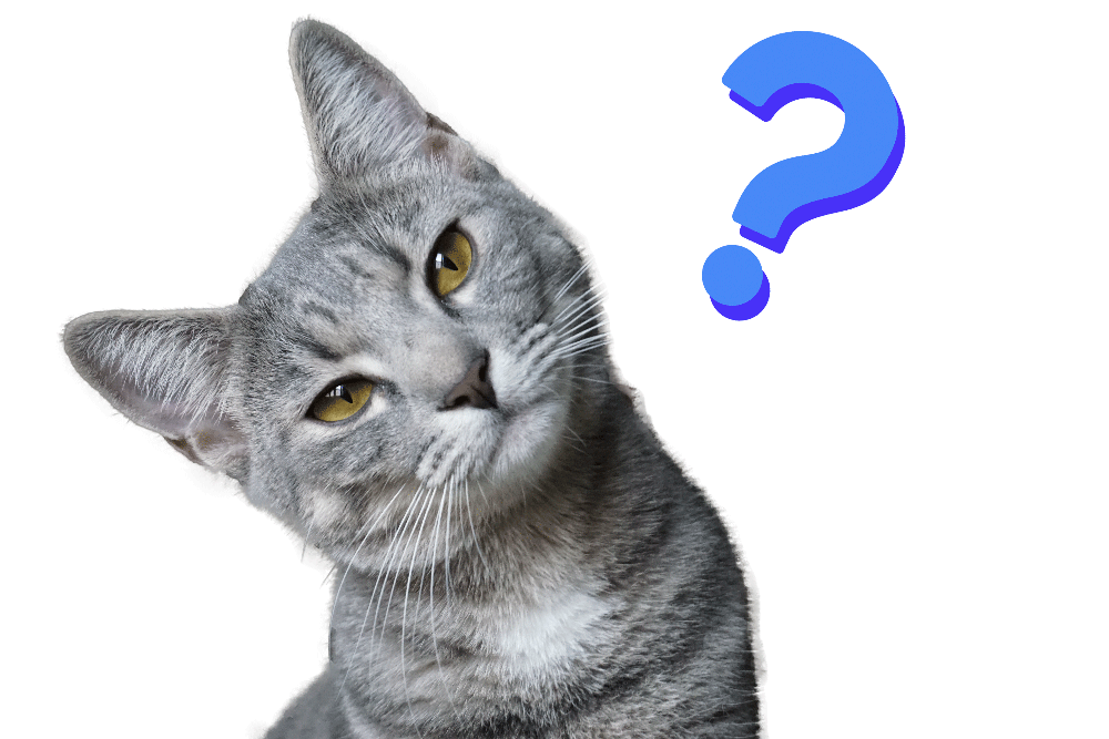 f:id:onefortwo:20211029161912p:plain