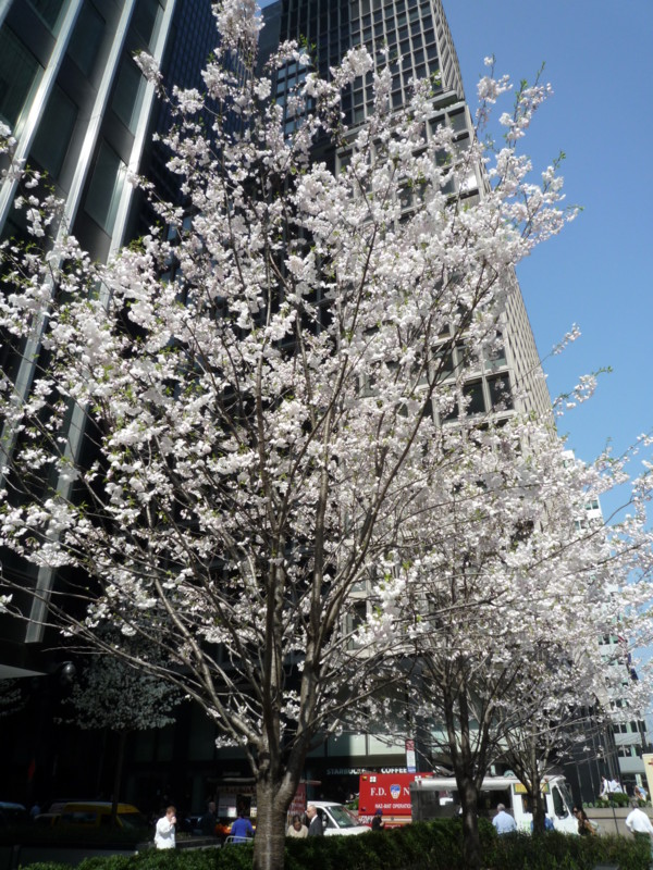 f:id:oneichan09:20120322134356j:image f:id:oneichan09:20120322134356j:image