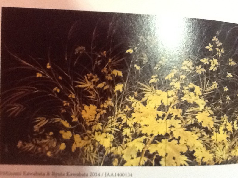 f:id:oneichan09:20141201151318j:image f:id:oneichan09:20141201151318j:image