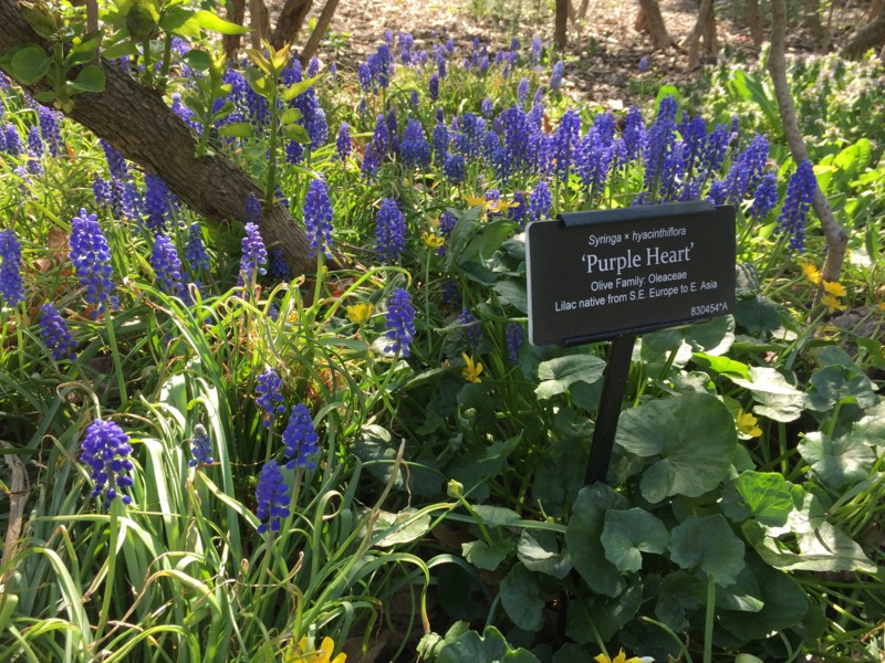 f:id:oneichan09:20160419153950j:image