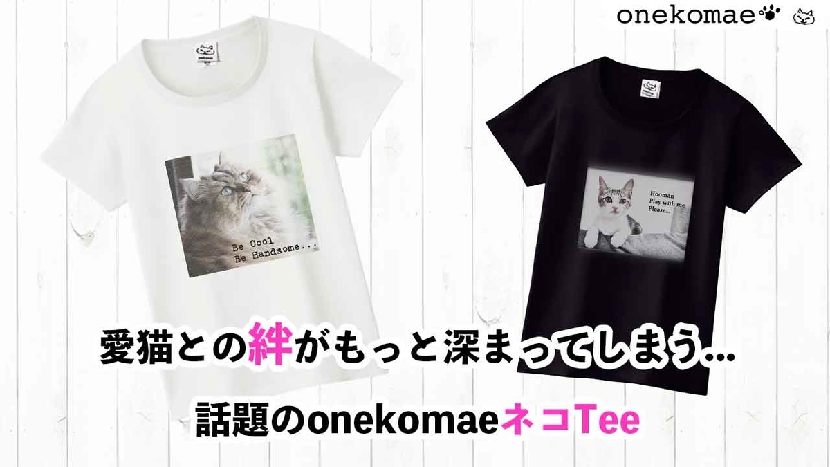 f:id:onekomae:20190805112433j:plain f:id:onekomae:20190805112433j:plain